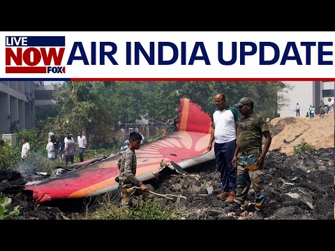 Video | Air India crash: Senior pilot 'calm' as co-pilot 'panicked', according to the WSJ