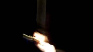 Dweezil Zappa - "Broken Hearts are for Assholes"