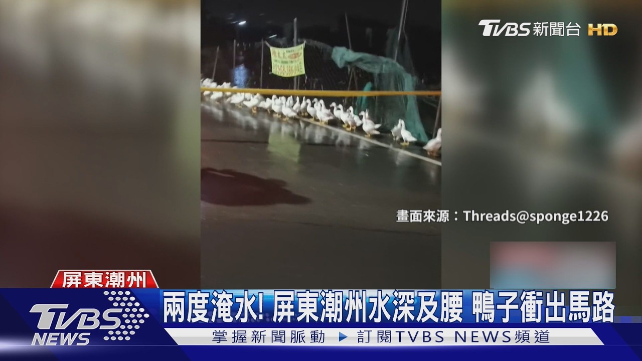 影音/潮州暴雨二度淹水!積水淹腰「鴨群馬路亂竄」 店家泡水無法營業