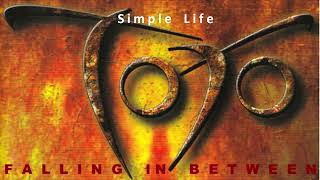 37 Toto - Simple Life (Falling In Between  2006) (46 Greatest Hits)