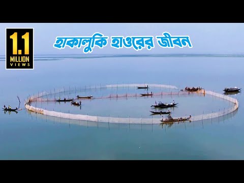 সিলেটের হাকালুকি হাওরের জীবন || Lifestyle at Hakaluki Haor in Sylhet