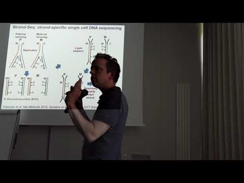 Jan Korbel - Single cell & big data approaches to understanding genome variation [...]