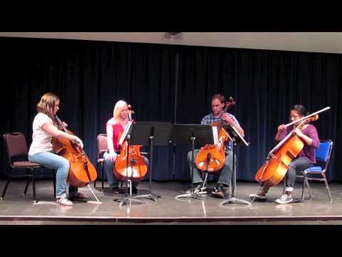 Somebody That I Used To Know Gotye - Cello Cover