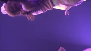 Haruka, CYBERJAPAN DANCERS, じゃぱかるっ2022