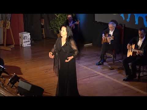 Cidália Moreira - "Fui de viela em viela"