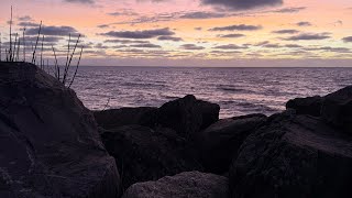 The Wolf Moon in Cancer – Meditation Monday @dianacooper