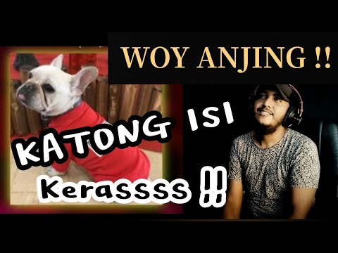 [ REACTION AJIB ✓ ] Rizal Adewa - Katong Isi Ft. Crotz Squad x Arif Taslim