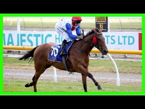 Pair of pitman winners to be aimed at trentham group i's