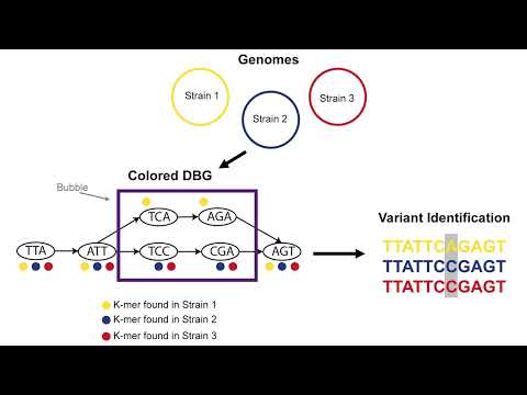 iMeta: Applications of de Bruijn graphs in microbiome research