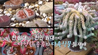 [나는농부다 282회 예고] 인생 2막은 '억' 소리 나는 농부!