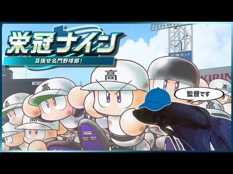 【628年目 │ 2691h〜】魚と目指す甲子園！-パワプロ2024 栄冠ナイン-【作業用BGM】