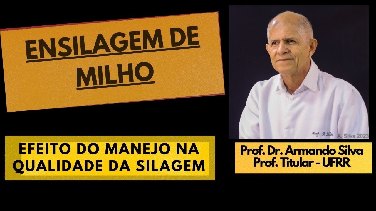 Ensilagem de Milho: Efeito do Manejo na Qualidade da Silagem