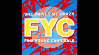Fine Young Cannibals - She Drives Me Crazy (Radio Rap Versión)
