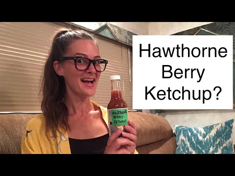 I Tried This Recipe ~ Hawthorne Berry Ketchup! ( Homage to Home Is Where Our Heart Is ❤️)