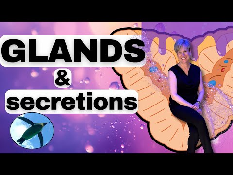 Glands and Secretions EXPLAINED | A&P Basics 🐧❤️