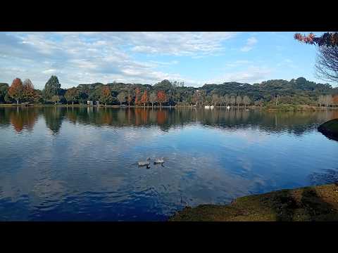 Turismo São Francisco de Paula - Trilhas - Lago São Bernardo e +