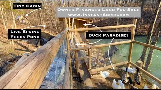 Owner Financed Land for Sale with Tiny Cabin, Live Spring, Pond and More! InstantAcres.com ID#CG03A