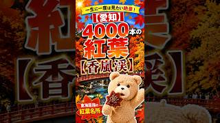 【愛知】一生に一度は見たい絶景！4000本の絶景紅葉と絶品グルメ旅🍁【香嵐渓】