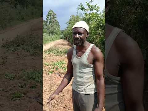 Watch to the End🔥🔥🔥🔥🔥🔥🔥🔥🔥🔥🔥🔥🔥🔥🔥🔥🔥