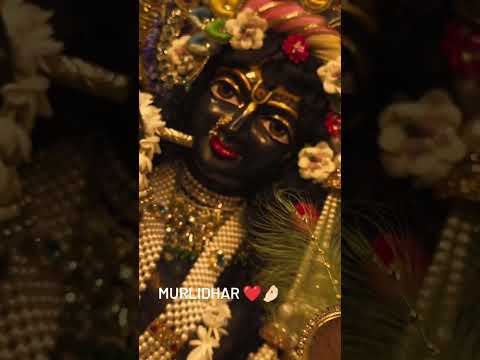 ||Murlidhar, chaliya, mohan status||🙏🏻🙏🏻 #murlidhar #shorts #viral #views #status🤗😇❤❤🥰😍