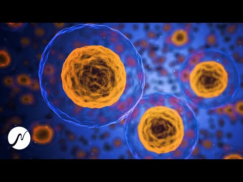 Zellregeneration: Verjüngung & Heilung (Heilende Meditation für Zellerneuerung)