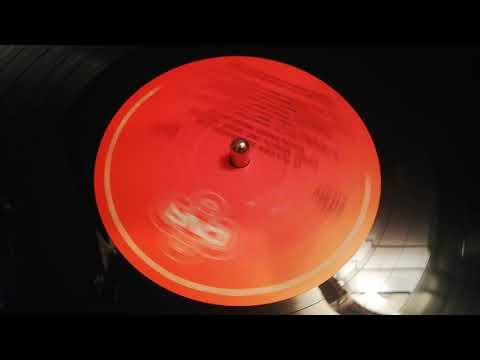 Zoran lupinc trio  pod sempolajem