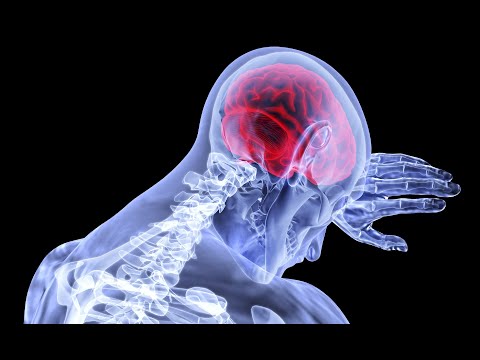 EL PODER DEL CEREBRO HUMANO Documentales En Español ,discovery en español