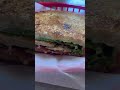 Top tier chicken salad sandwich ~ Katzinger’s Deli ~ Columbus, OH