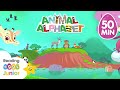Animal Alphabet Learning Letters English Alphabet