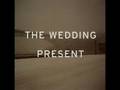 The Wedding Present "Shatner"