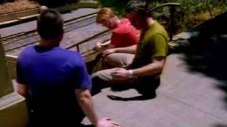 mclusky &#39;She Will Only Bring You Happiness&#39;