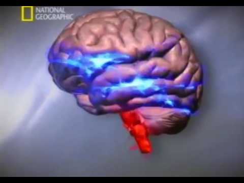 Az igazság nyomában S02-E03