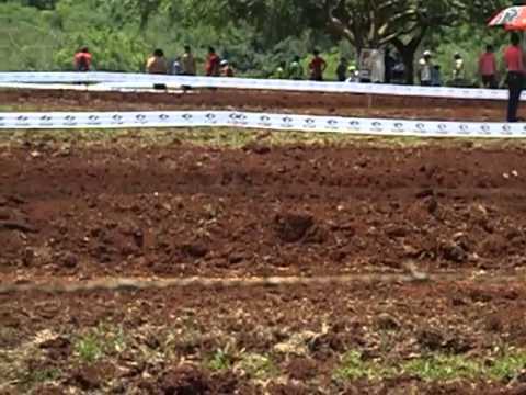 velocross aroeira 17/11/13 categoria 230cc