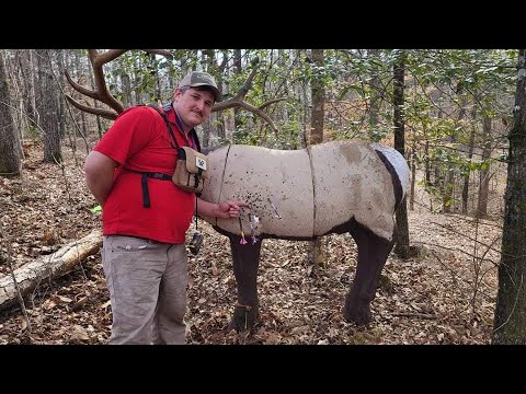 The keowee chiller (sc circuit #2) 3D archery