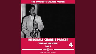 Bird Feathers (Schnourphology)