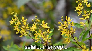 Download lagu Kemuning - Widyawati   lirik mp3