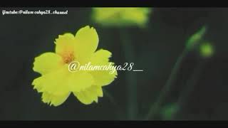 Download lagu Kewajiban Menutup Aurat mp3 Download lagu Kewajiban Menutup Aurat mp3