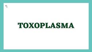 Toxoplasma gondii | Toxoplasmosis | Life Cycle, Diagnosis, Treatment &amp; Prevention | MEDZUKHRUF