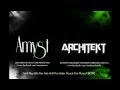 Amyst / We'll Play With Fire Ants Until The ...