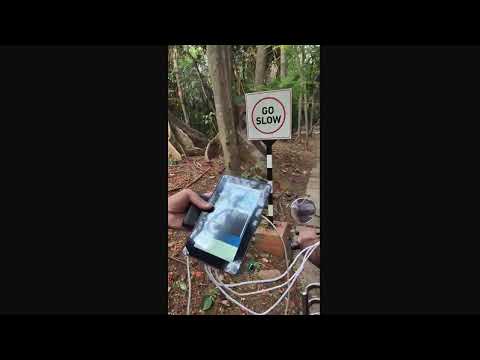 Watch Video