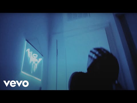 TheNeighborsKnow. - raindrops on a burberry hoodie (Official Video)