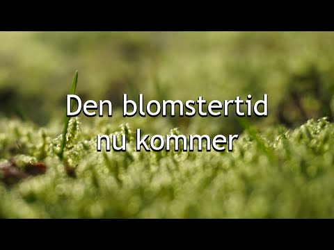 Tampongtomten - Den blomstertid nu kommer (Remix)