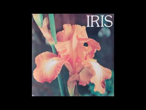 Gianni Marchetti - Perry Blue (ss:6) [Italy] Library, Easy Listening (1978)