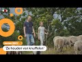 Raven (12) zorgt voor 250 schapen