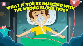 What Happens if You're Injected With The Wrong Blood Type? | How Blood Transfusion Works? |Dr Binocs