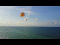 Drone dog walk at Tan Thanh beach, Hoi An