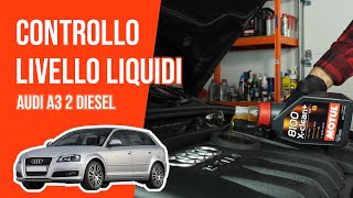 Youtube thumbnail of video "Controllo e rabbocco livello liquidi"