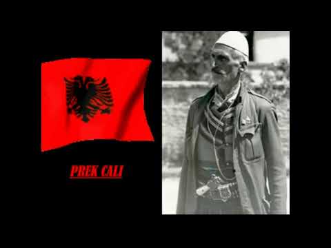 Lec Burgaj -poezi- PREK CALI