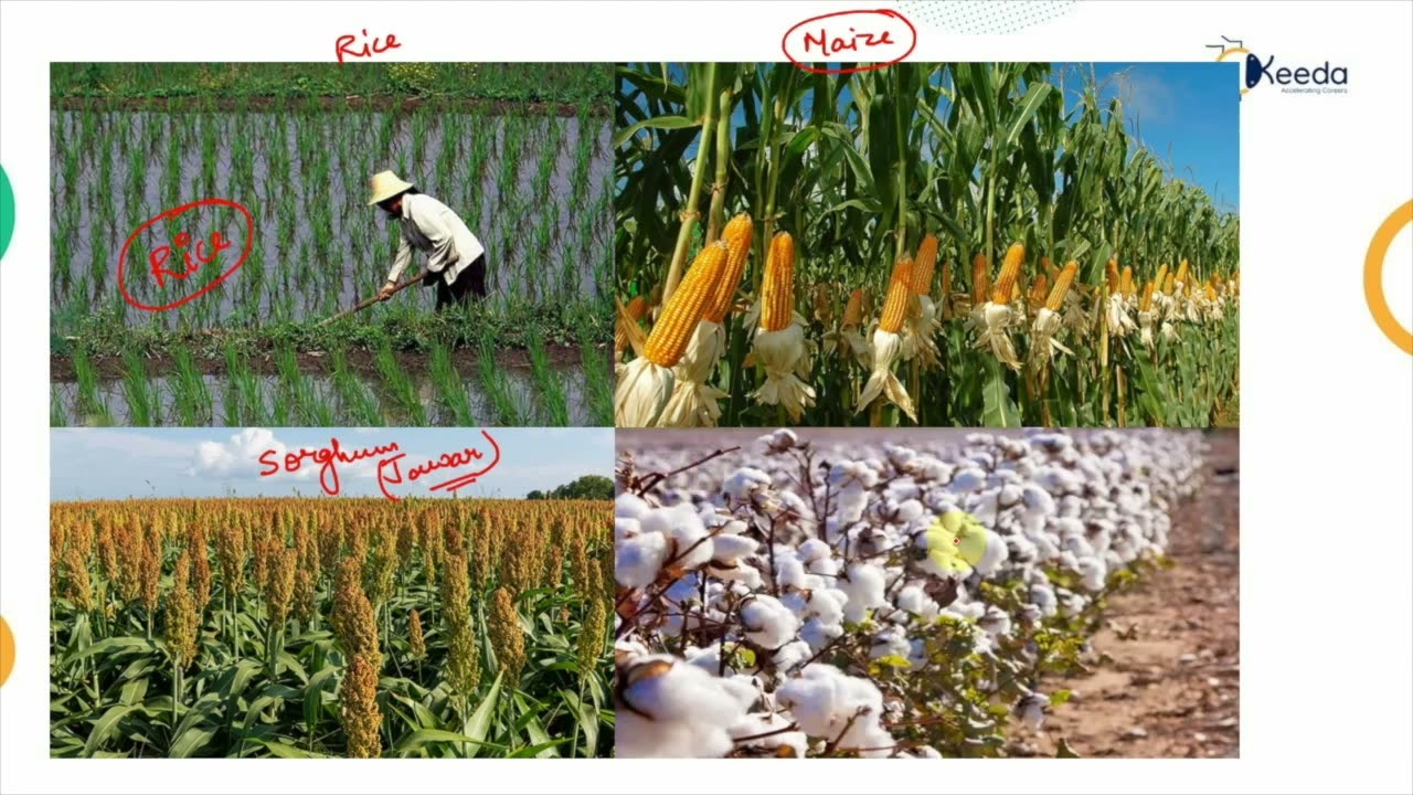 Principal Crop and Crop Seasons - Water Requirement of Crops - Water Resource Engineering 1