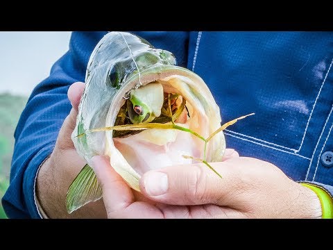 Gear Review | Lunkerhunt Prop Series